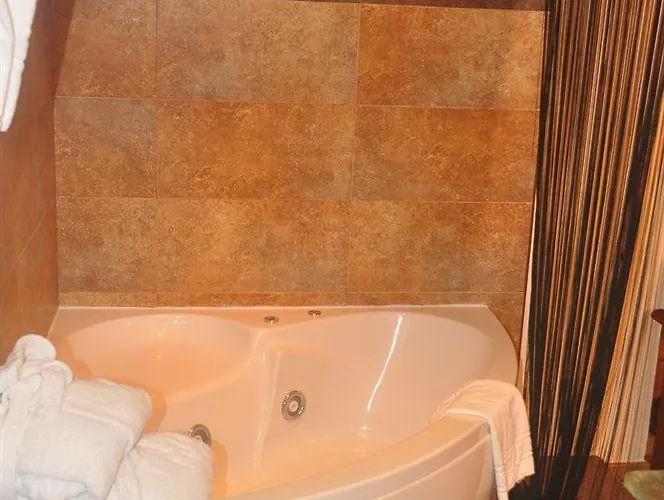 بيت شباب تيماتيكو إل سيد